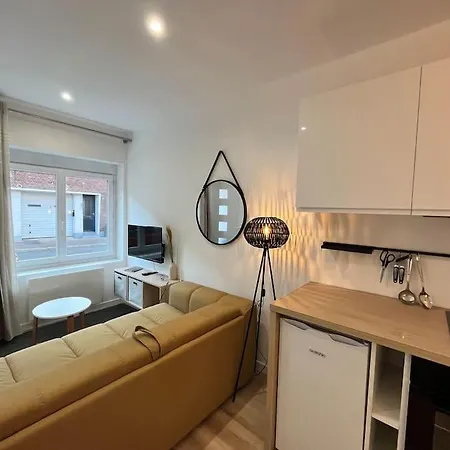 شقة L'escale Amienoise Loft *